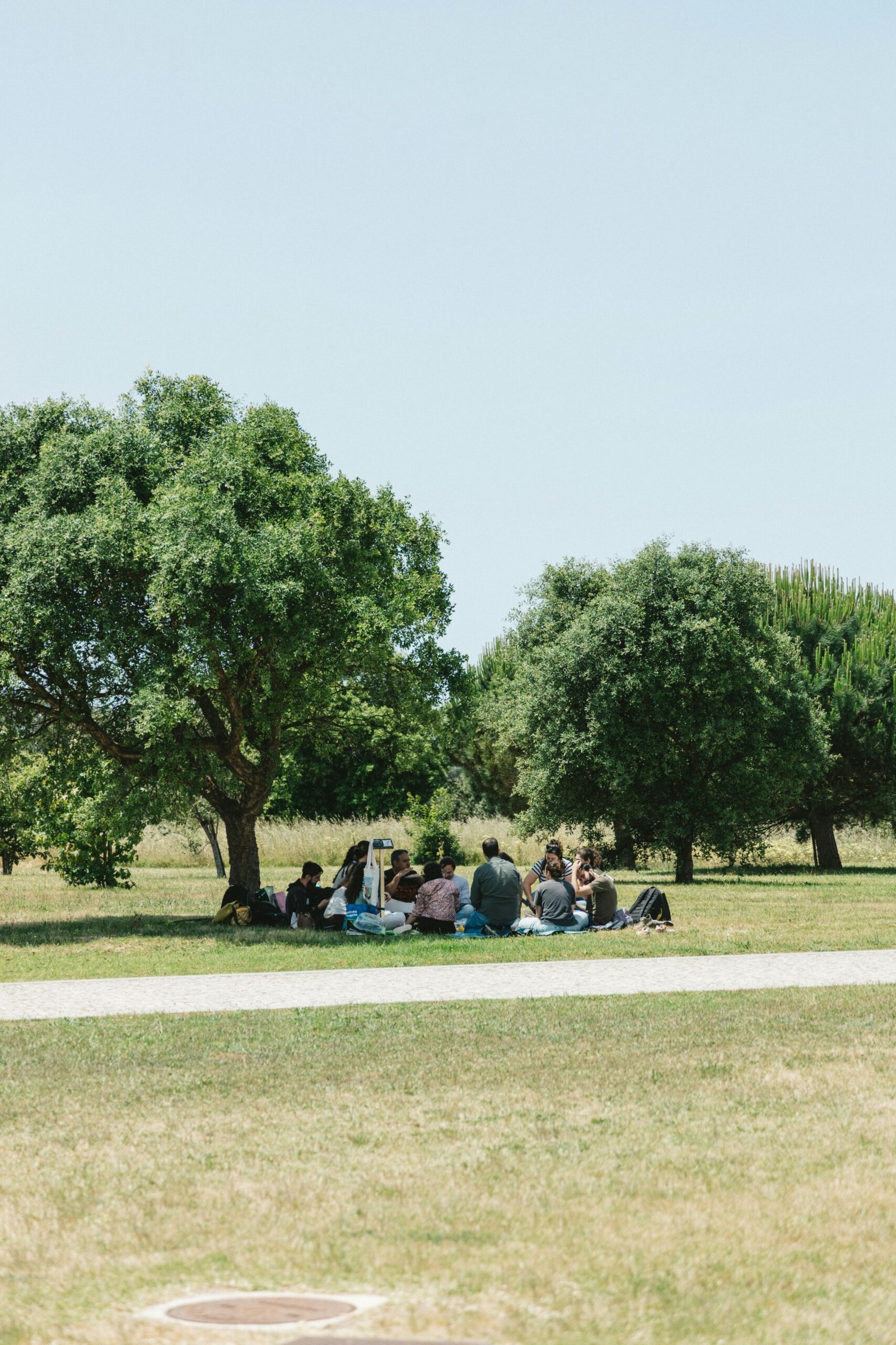 A serene outdoor gathering of adults under trees in a Portuguese park on a sunny day.